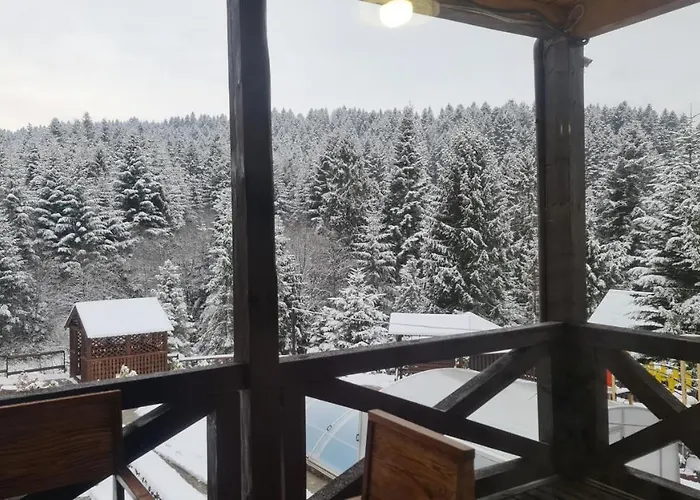 Вилла Paraiso *